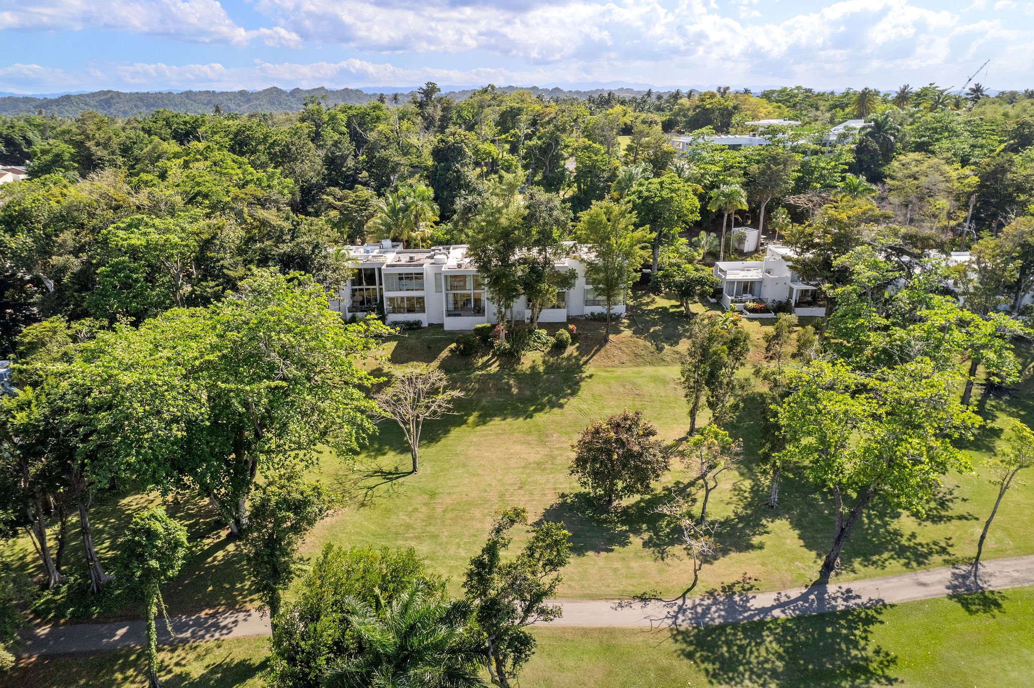 DJI_0803.jpg