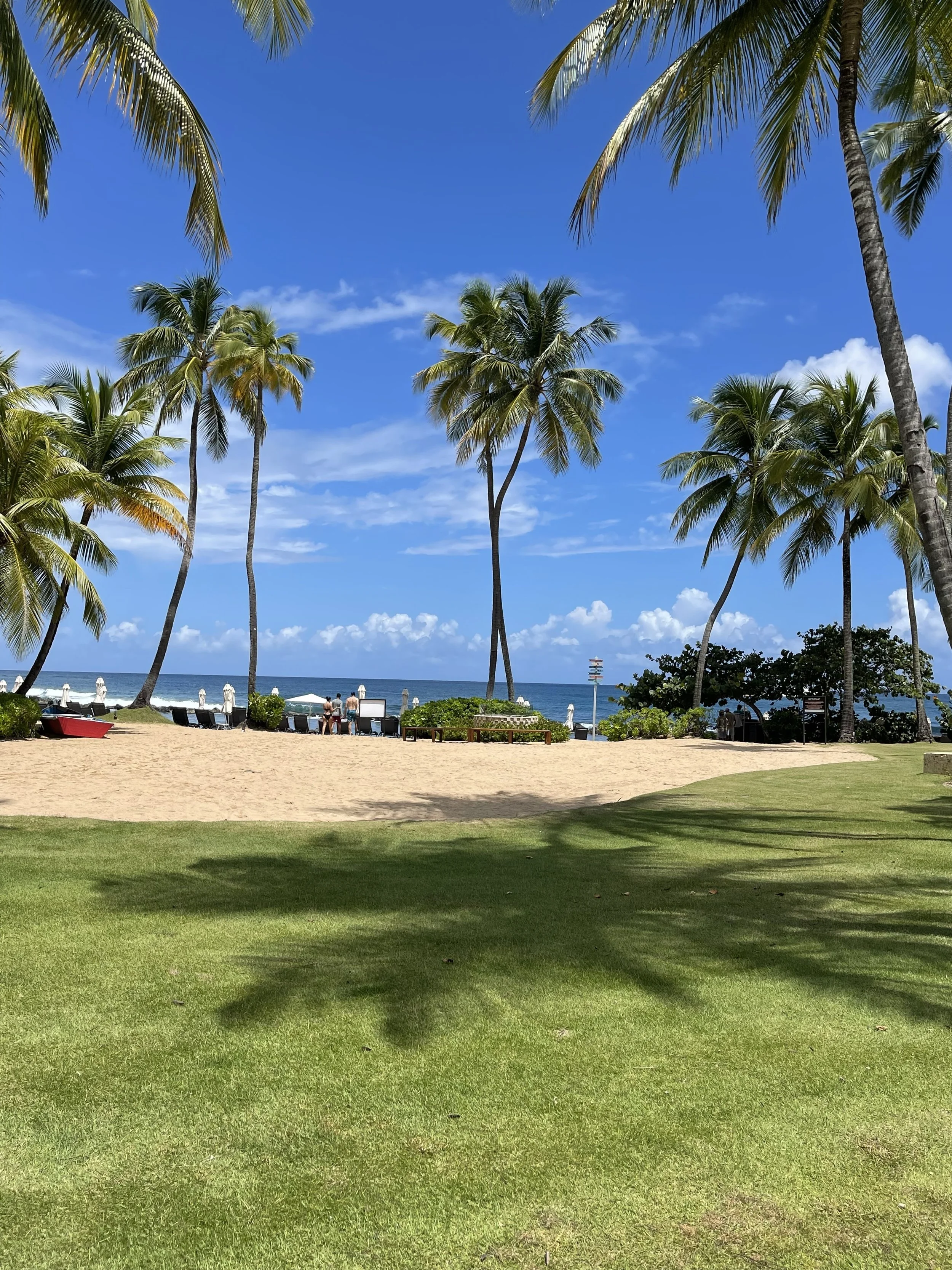 Beach scene with palm trees, sandy area, and ocean in the background under a blue sky with scattered clouds.