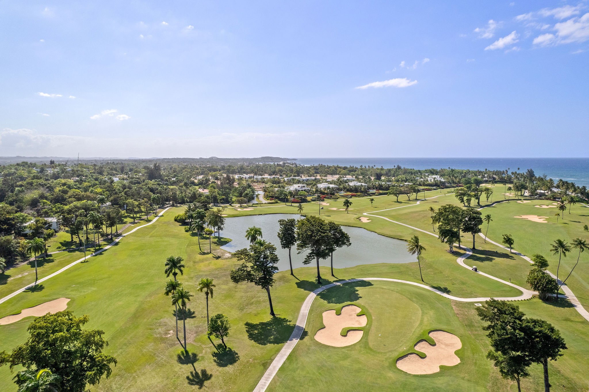 DJI_0805.jpg