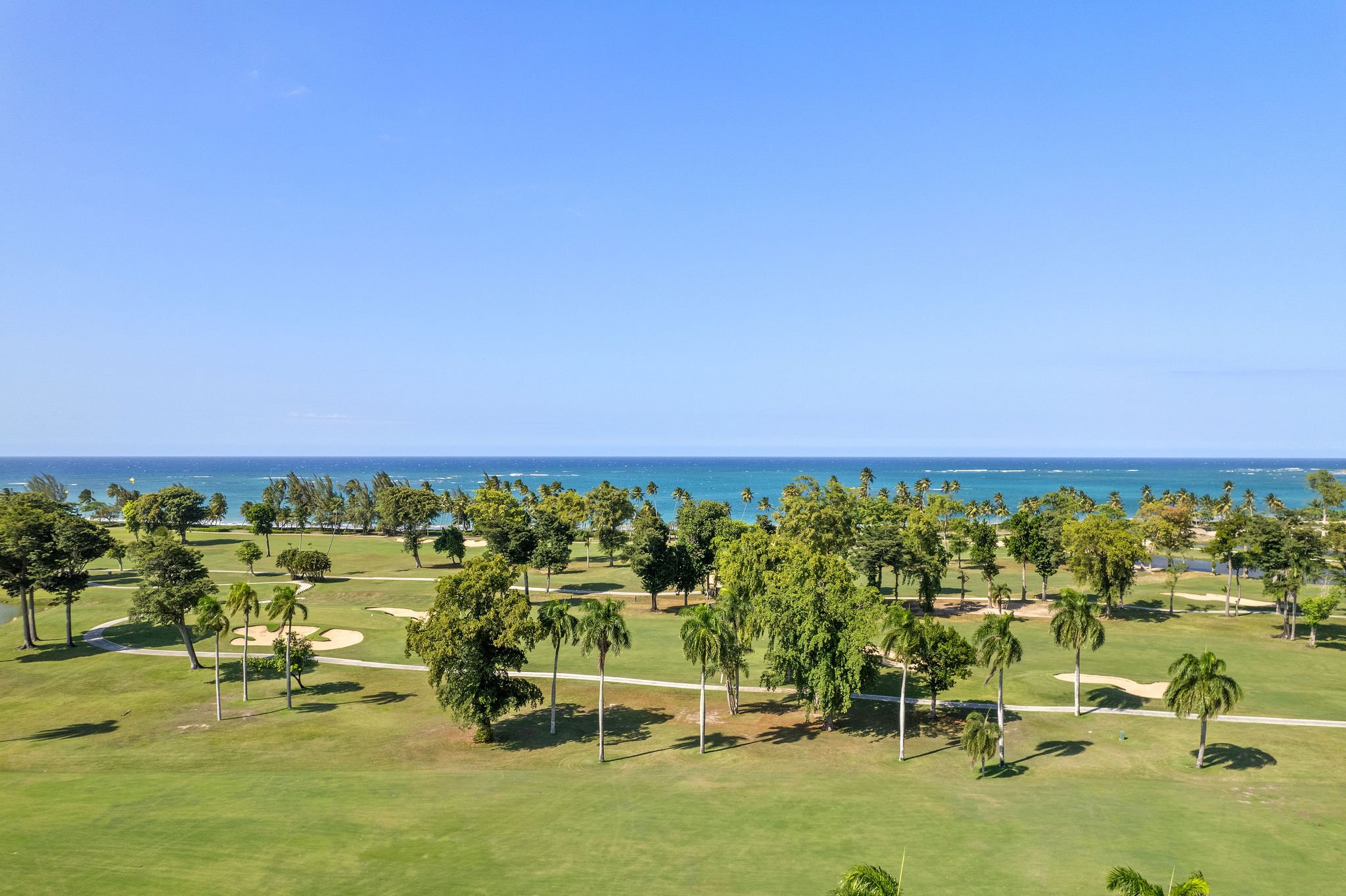 DJI_0801.jpg