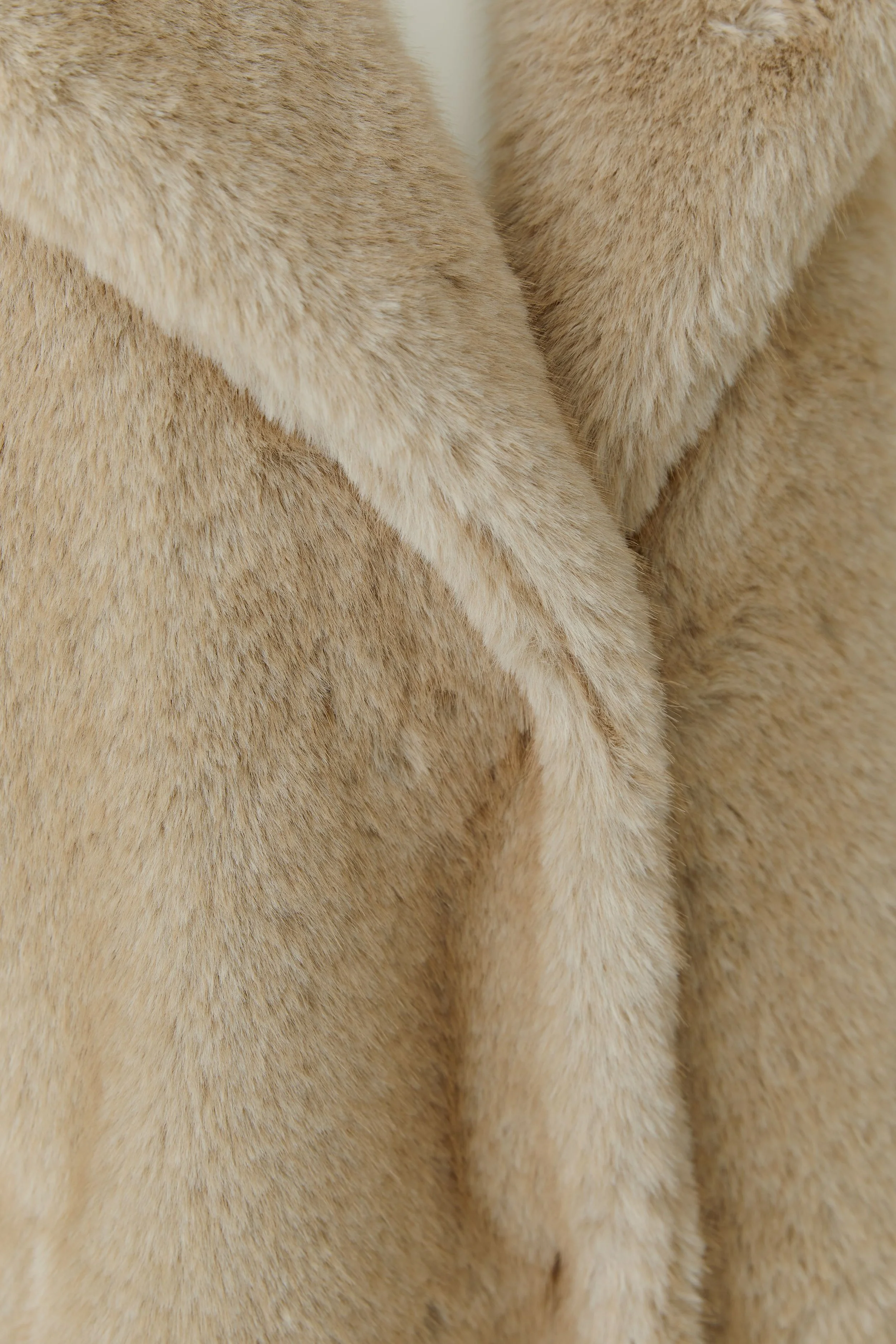 99934_7113_2.jpg