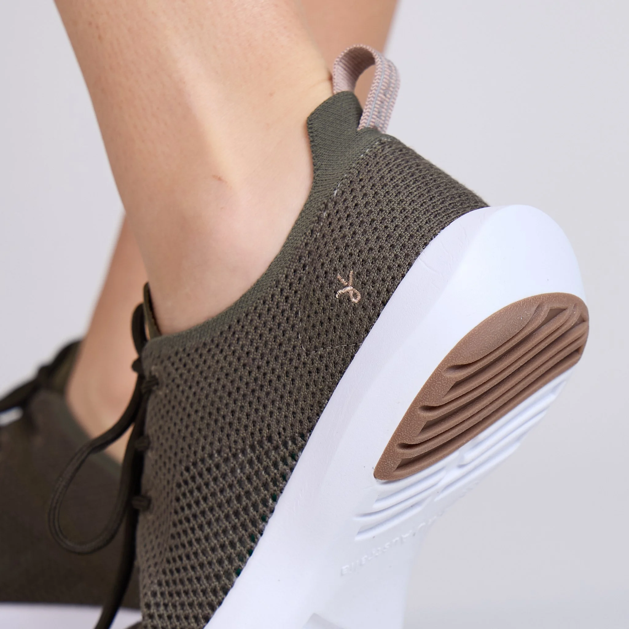 W13165 SPRINGBROOK OLID D.jpg