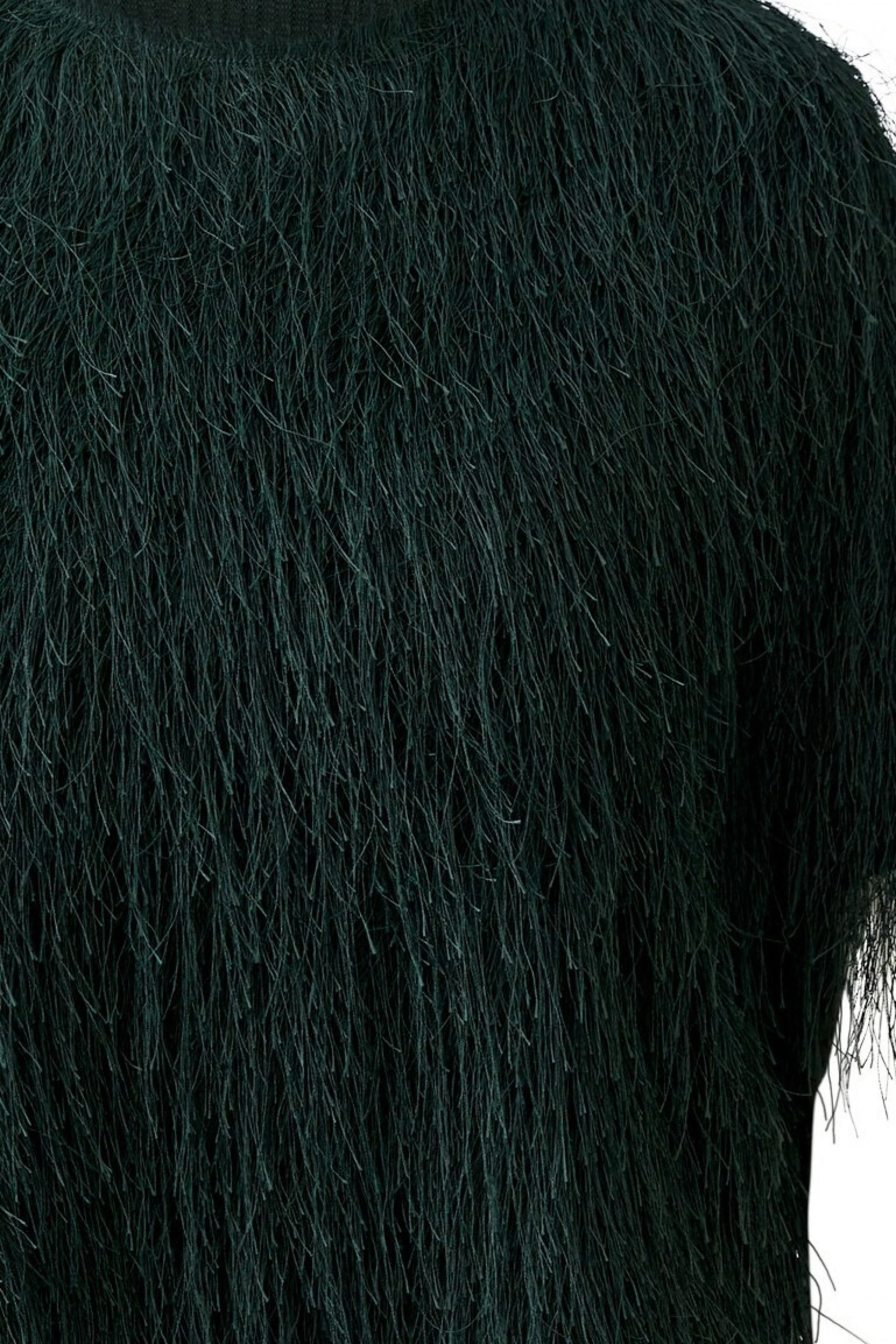 100112_6684_L4.jpg