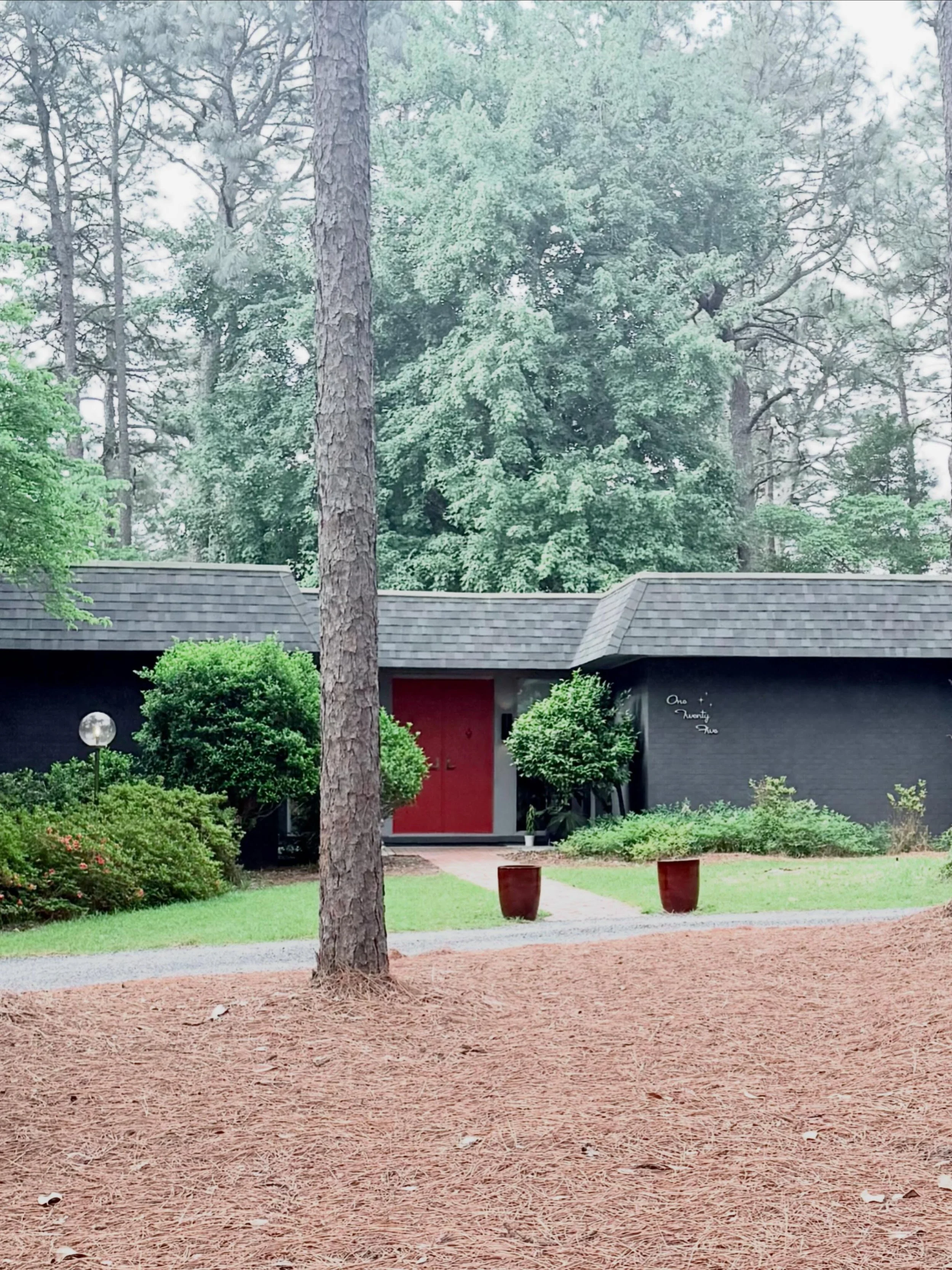 In 1974, Richard and Jane Adrian built something a little different on Horseshoe Road in Southern Pines.

A horizontal roofline. A mansard roof. A recessed entry flanked by solid double doors and floor-to-ceiling windows. Brick on the front, glass on