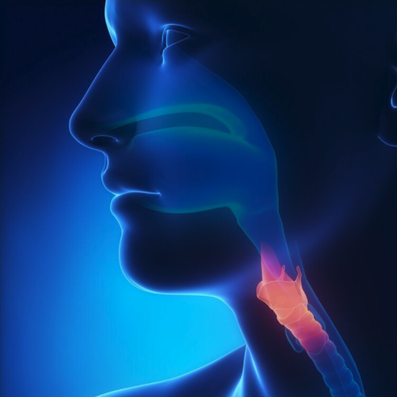 Screen Shot 2021-01-17 at 7.23.49 AM.png