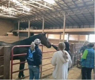 ServePickens Save the Horses.jpg