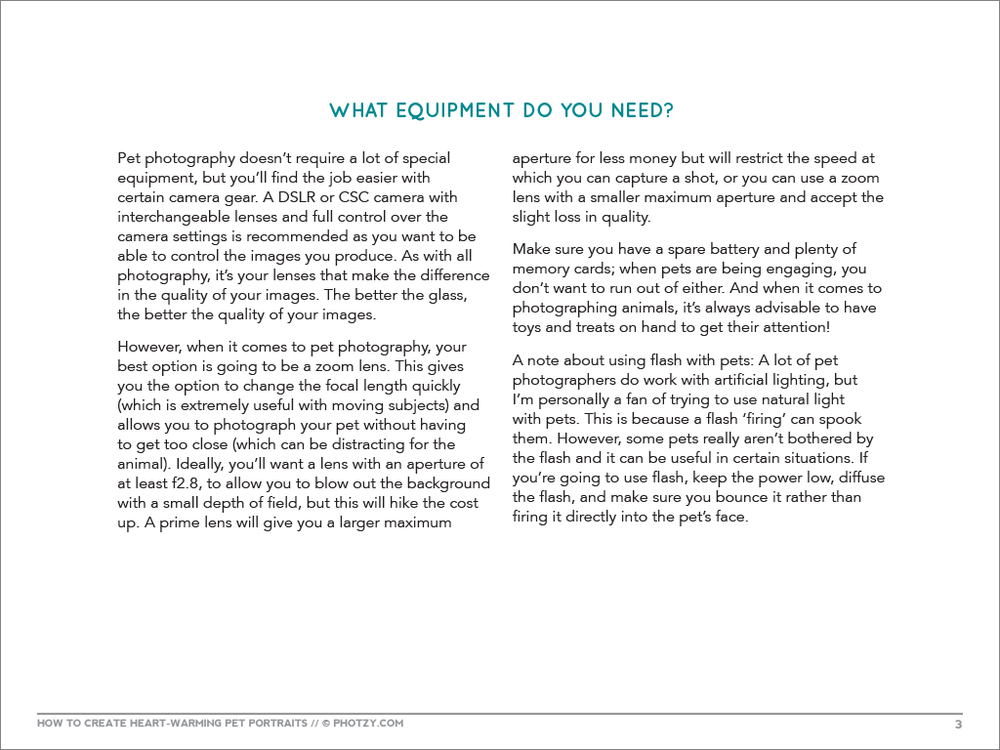 How+To+Create+Heartwarming+Pet+Portraits-3.png