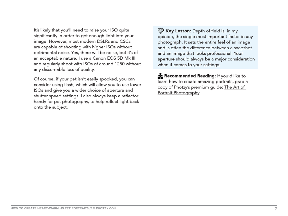 How+To+Create+Heartwarming+Pet+Portraits-7.png