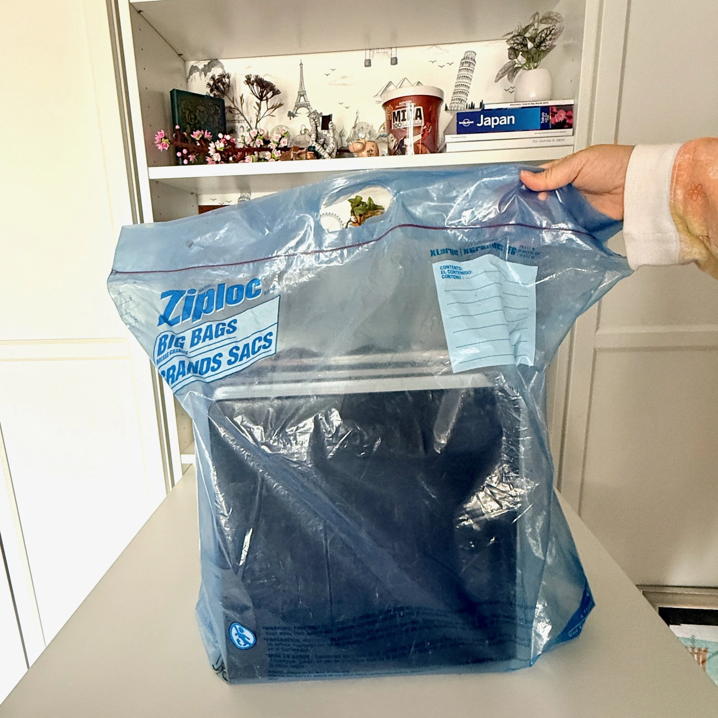 Ziploc XL Big Bags bag with photo albums inside