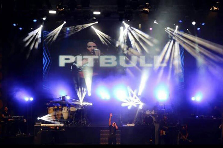 Pitbull_2.jpg