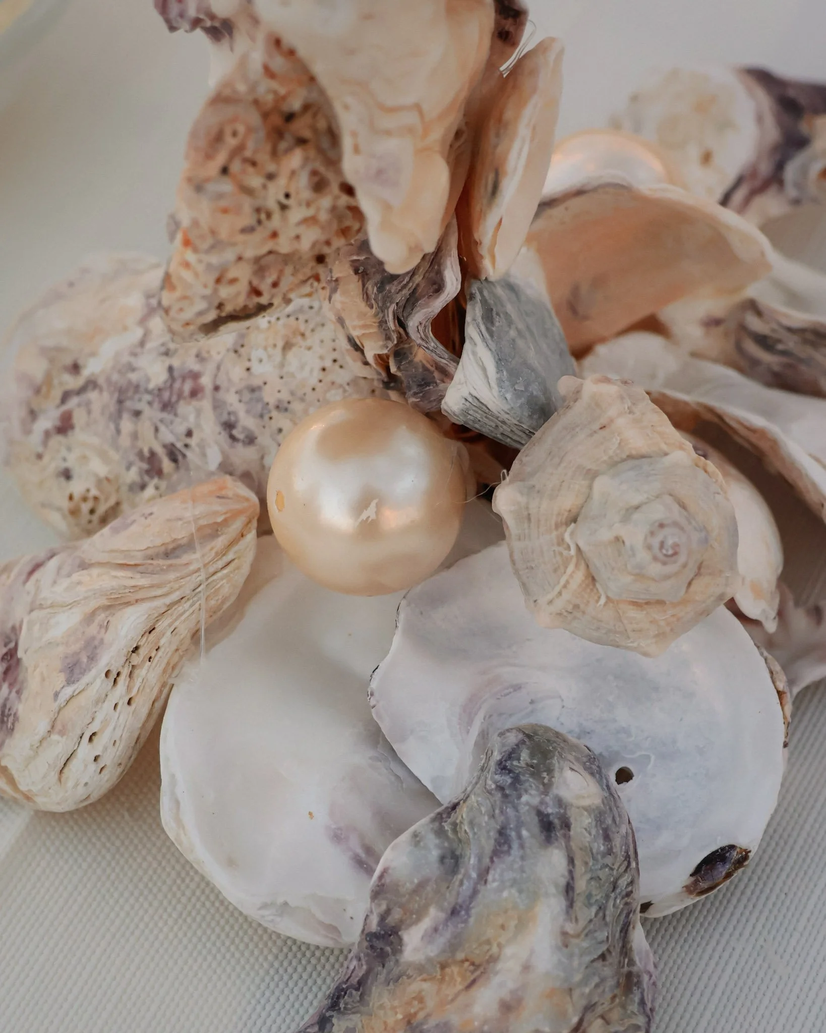 dettaglio perle e conchiglie