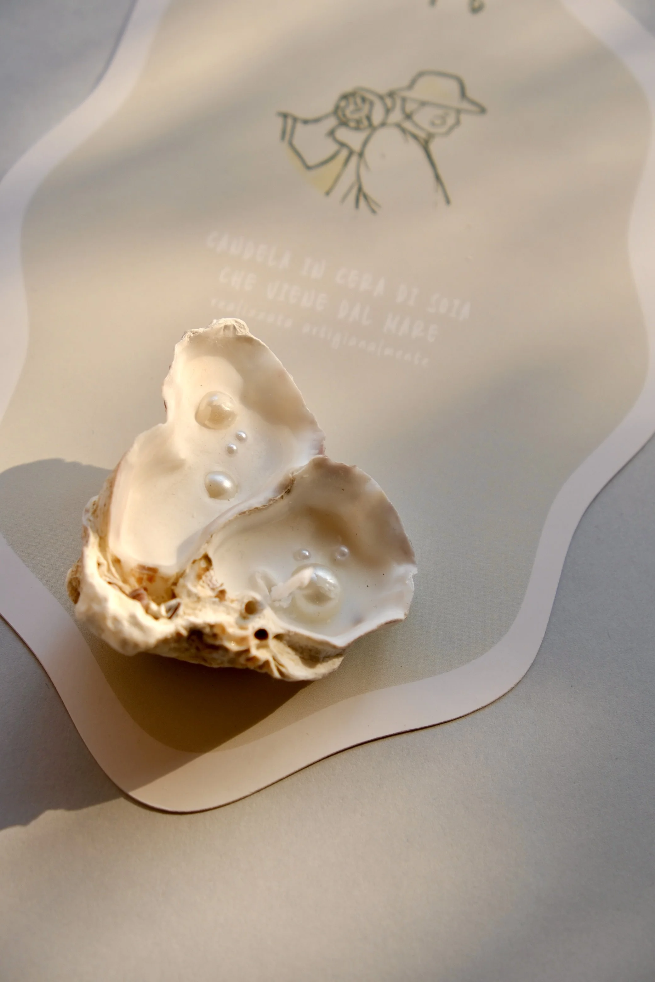 conchiglia candela bomboniera