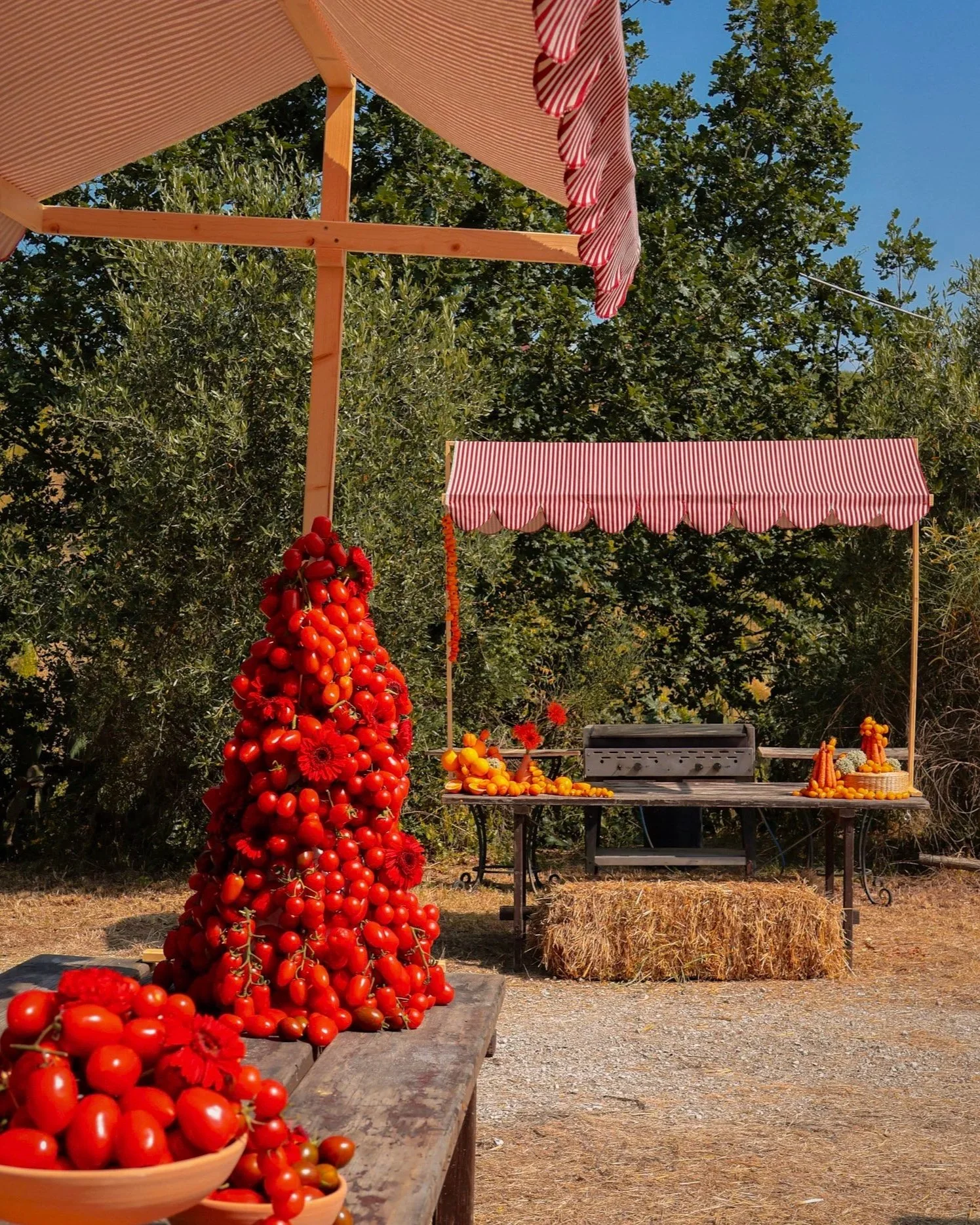 installazione di frutta e verdura rossa e gialla