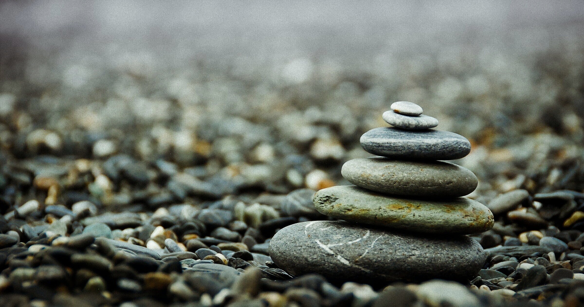 johnson-wang-qG-hPxoAnRE-unsplash%2B%25281%2529.jpg