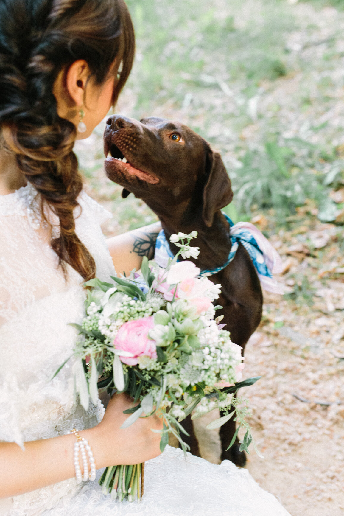 Braut-mit-Hund-Hochzeitslocation-Dresden-Schloss-Eckberg-Schlosshochzeit-Deutschland-marrylight-Hochzeitsplanung