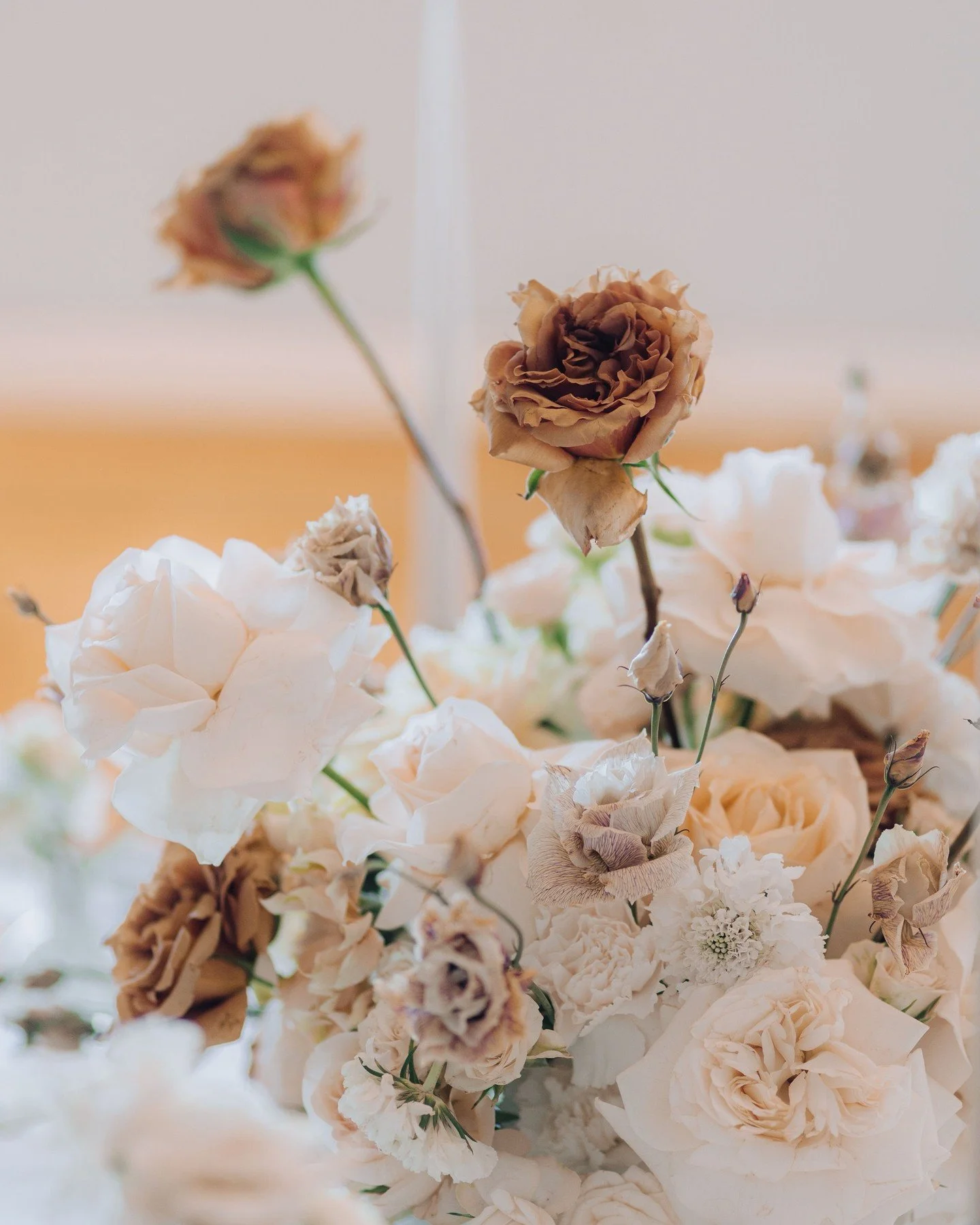 #mochamousse war Pantonefarbe des Jahres 2025. Wir lieben den ruhigen Ton, nicht weil er Trendfarbe ist, sondern sich vielseitige, elegante Konzepte wunderbar umsetzen lassen. Weiterer Pluspunkt: Es passt zu vielen Stilen und Locations.

F&uuml;r 202