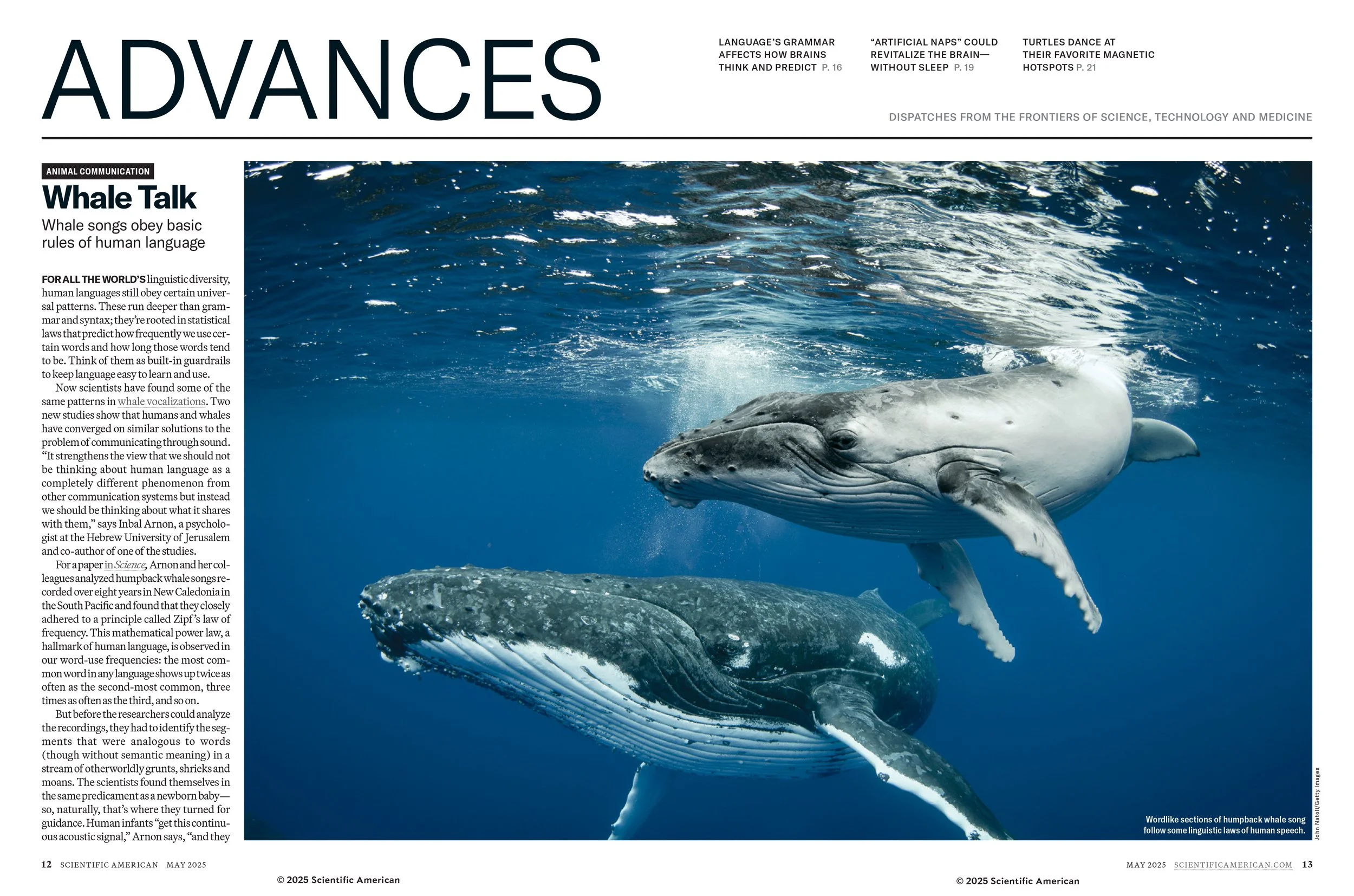 SciAm_05_2025_whale-talk.jpg
