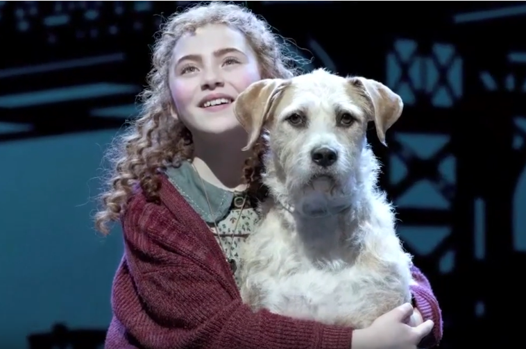 Pedigree - From Shelter To Stage