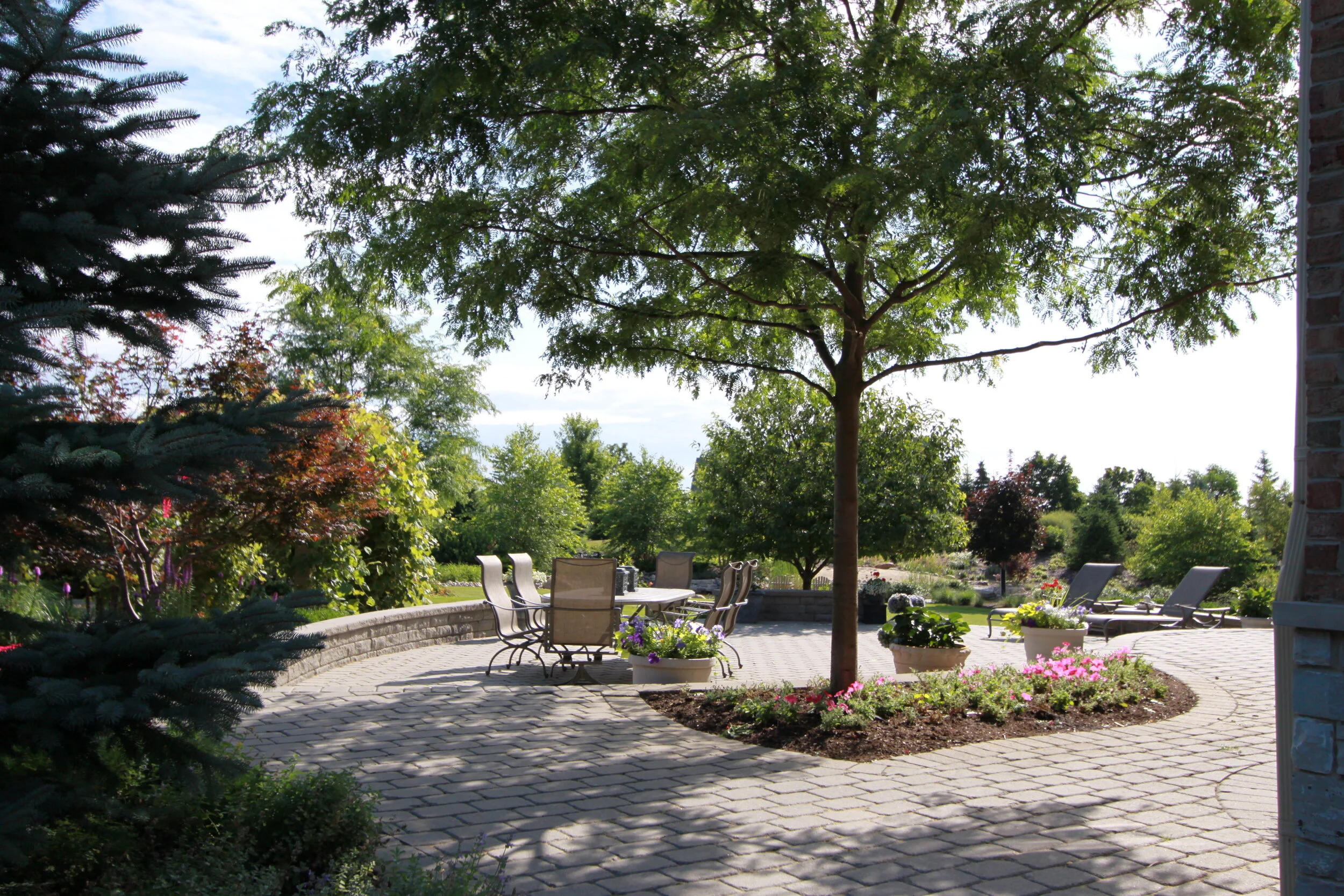 Carol ARand - Work-GregScurto (199).JPG