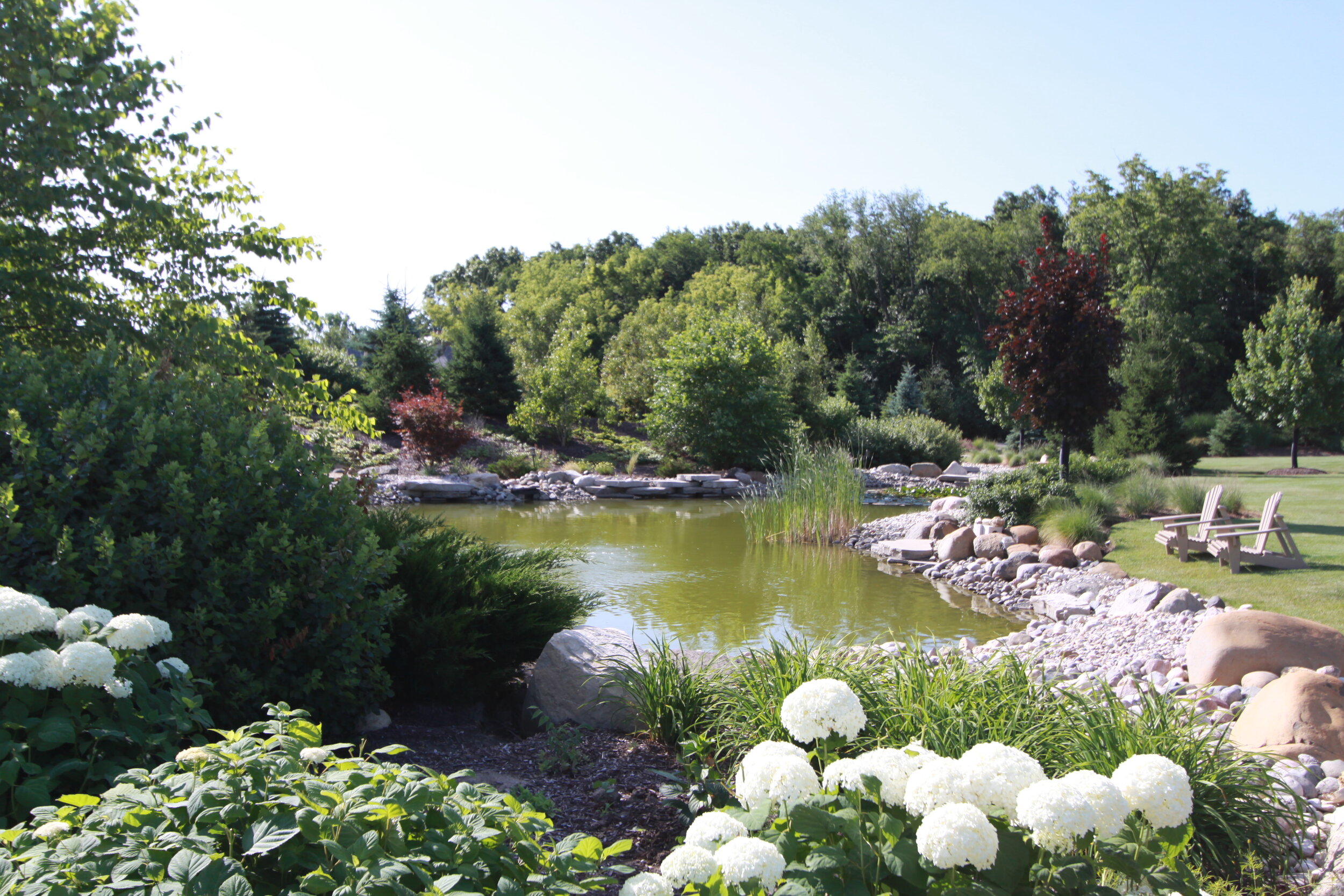 Carol ARand - Work-GregScurto (193).JPG