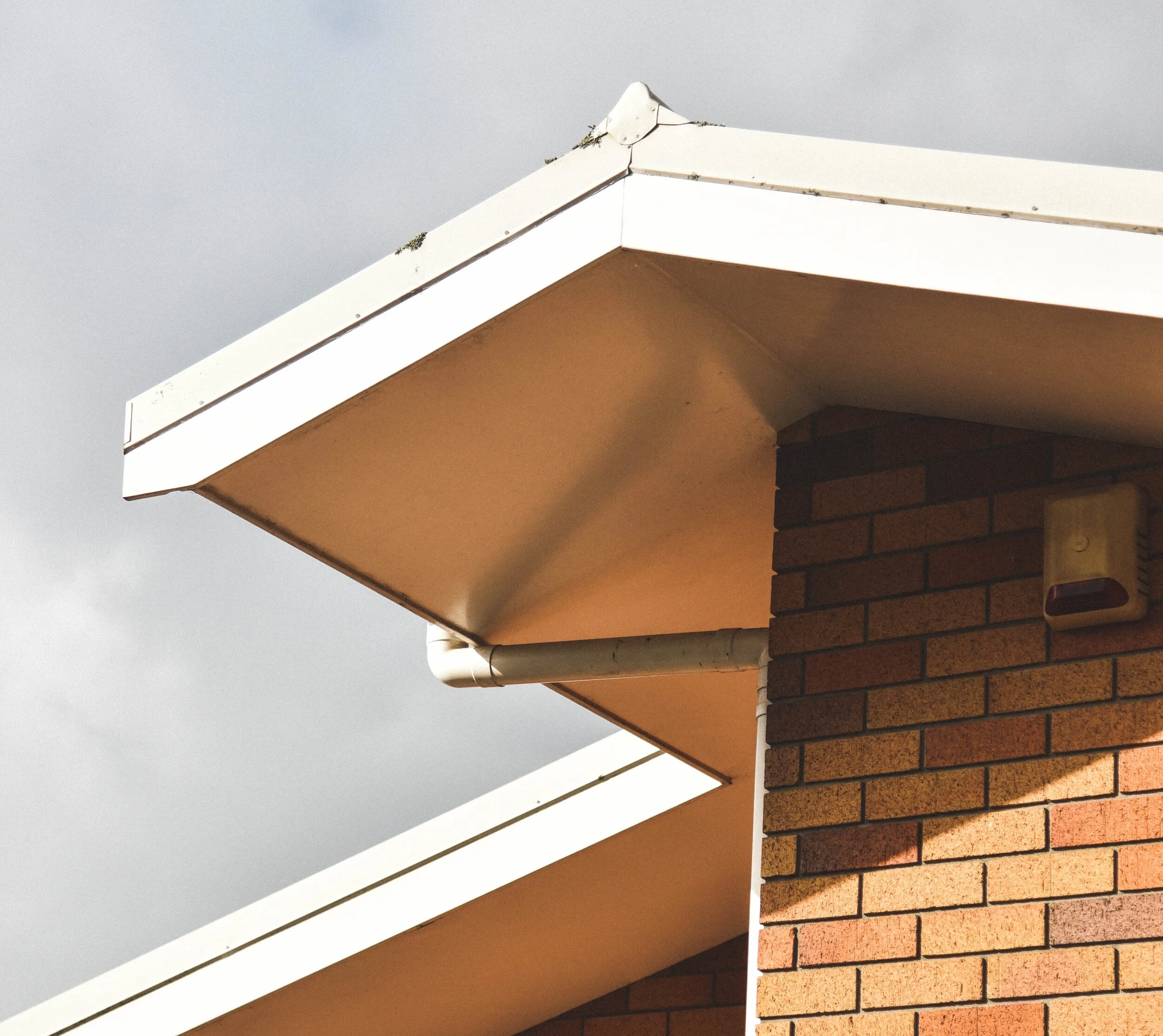 A New Slant: Exploring the Modern Roof