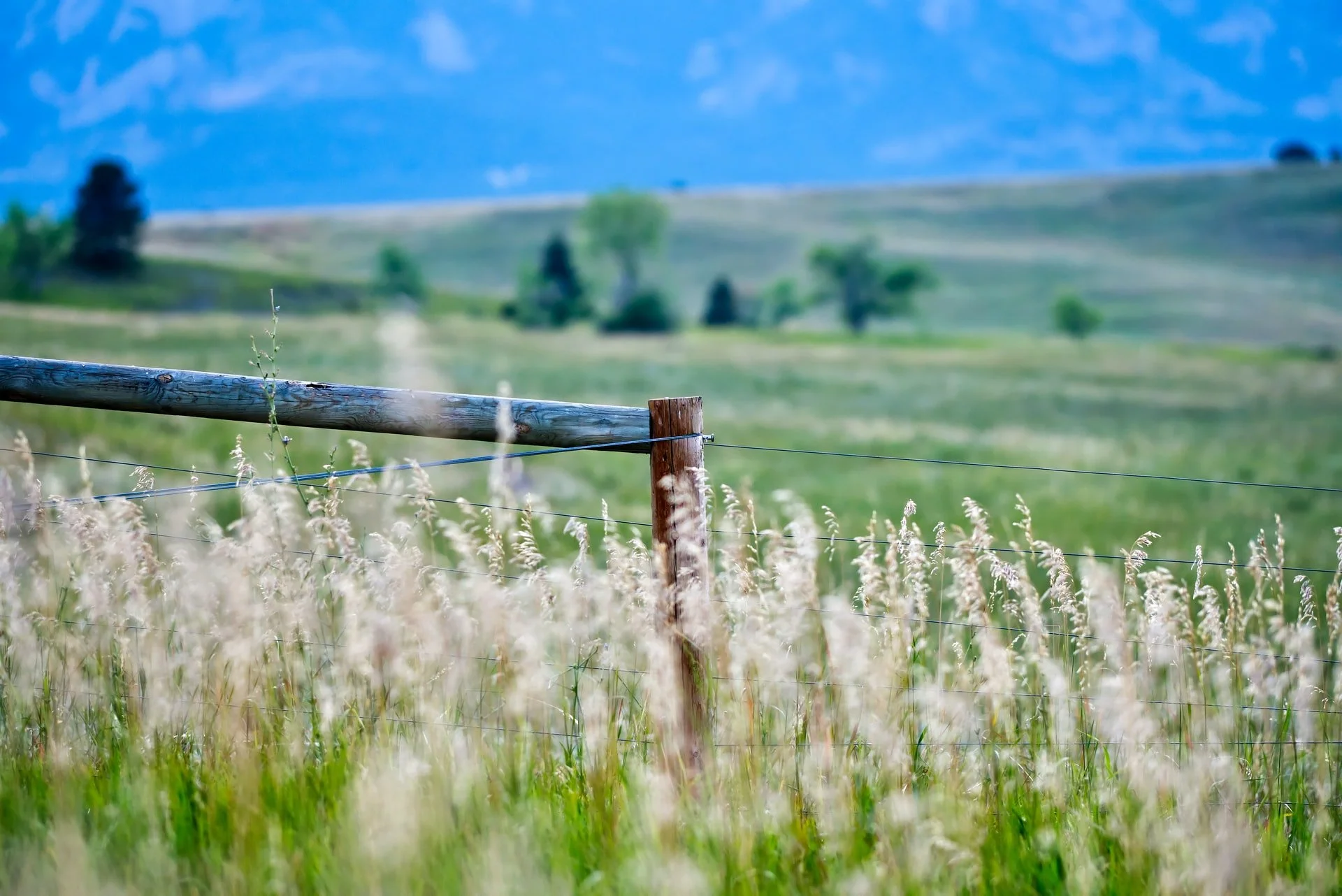 South Boulder’s Rich Farming Heritage
