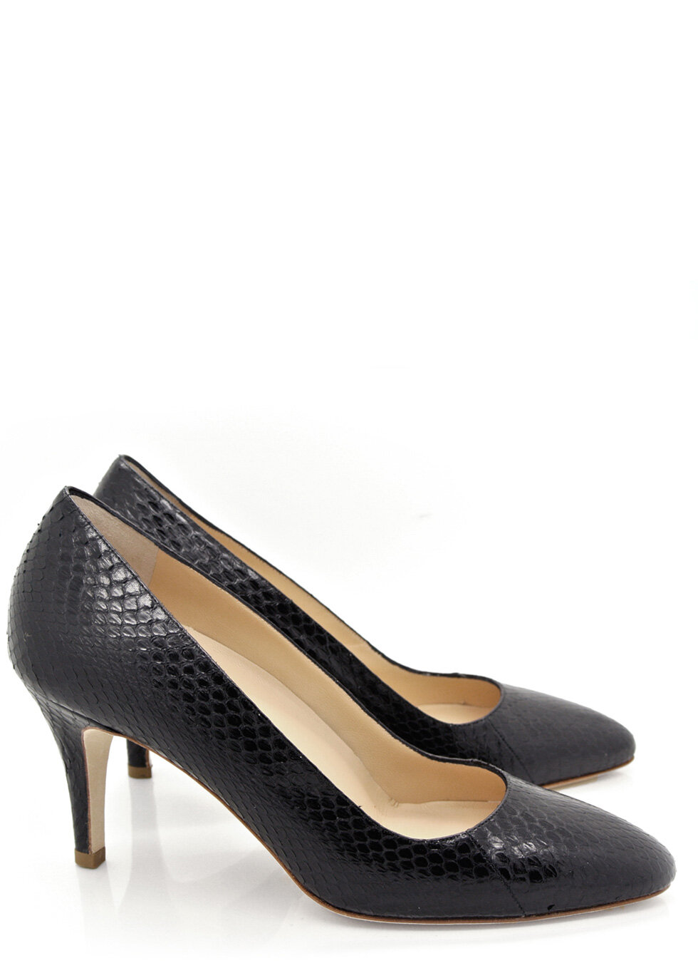 moonless-black-snake-754-sf_1.jpg