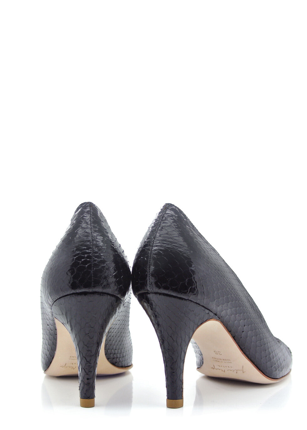 moonless-black-snake-754-b_1.jpg