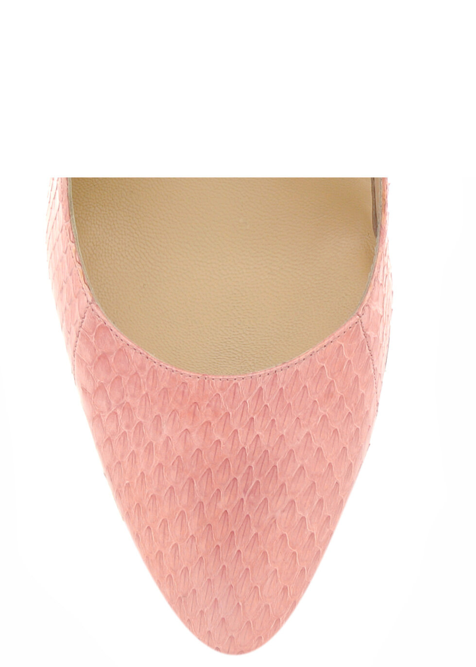 grapefruit-pink-974-t_1.jpg