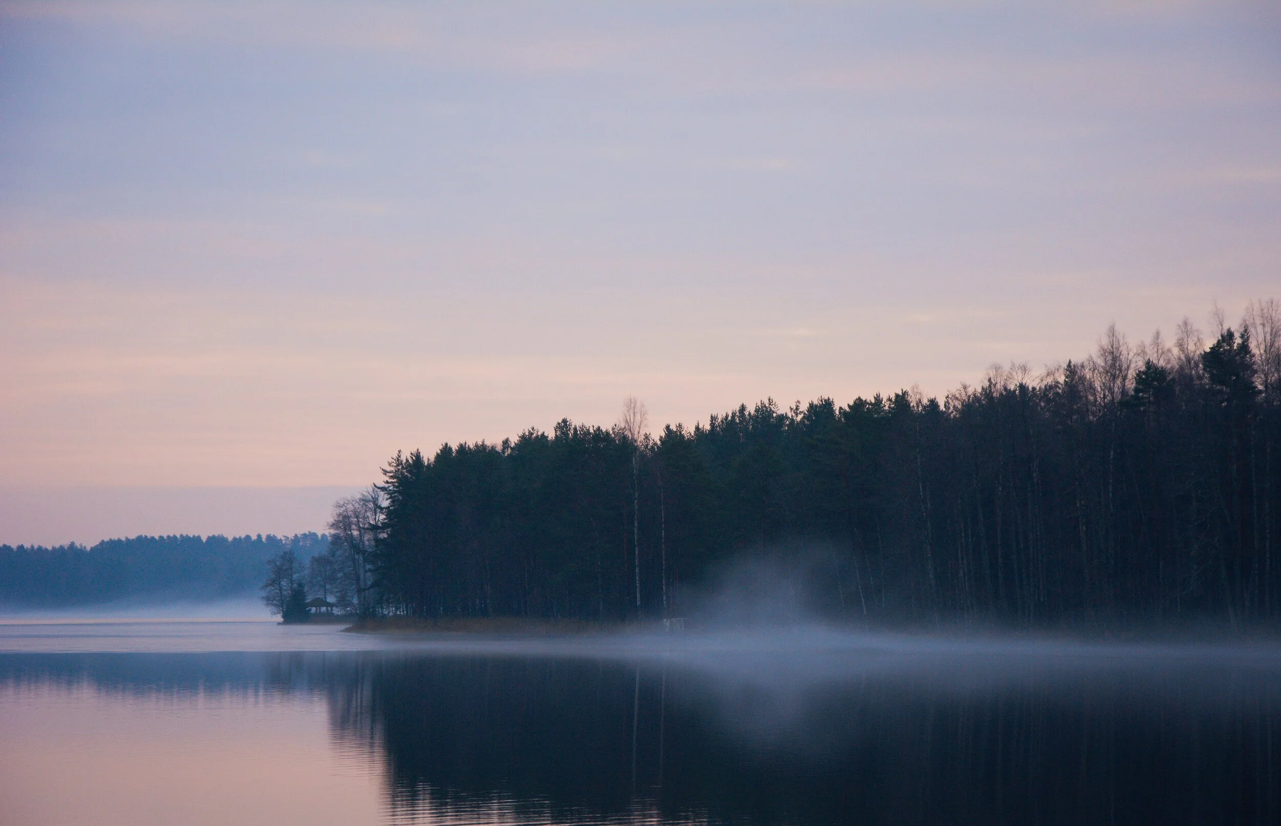 CAKE | 08 — Proof of life