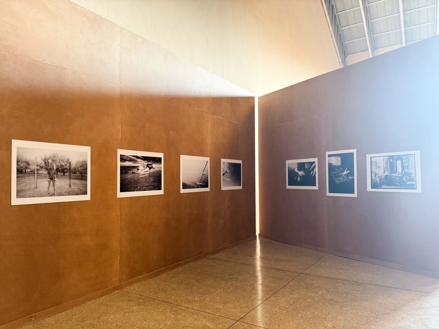 IMG_6764.jpg