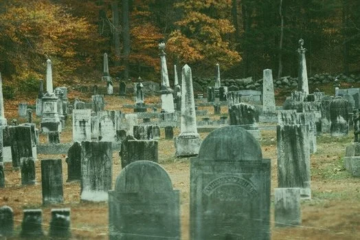 Dead Michigan Residents May Have Allegedly Voted in Presidential Election