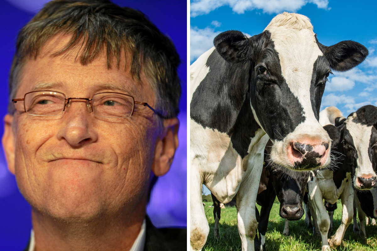 Bill Gates Says Rich Countries Should Eat ‘100% Synthetic Beef’