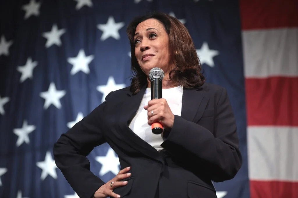 Kamala Harris hasn’t visited the border crisis, but flew to Chicago to promote racial ‘equity’