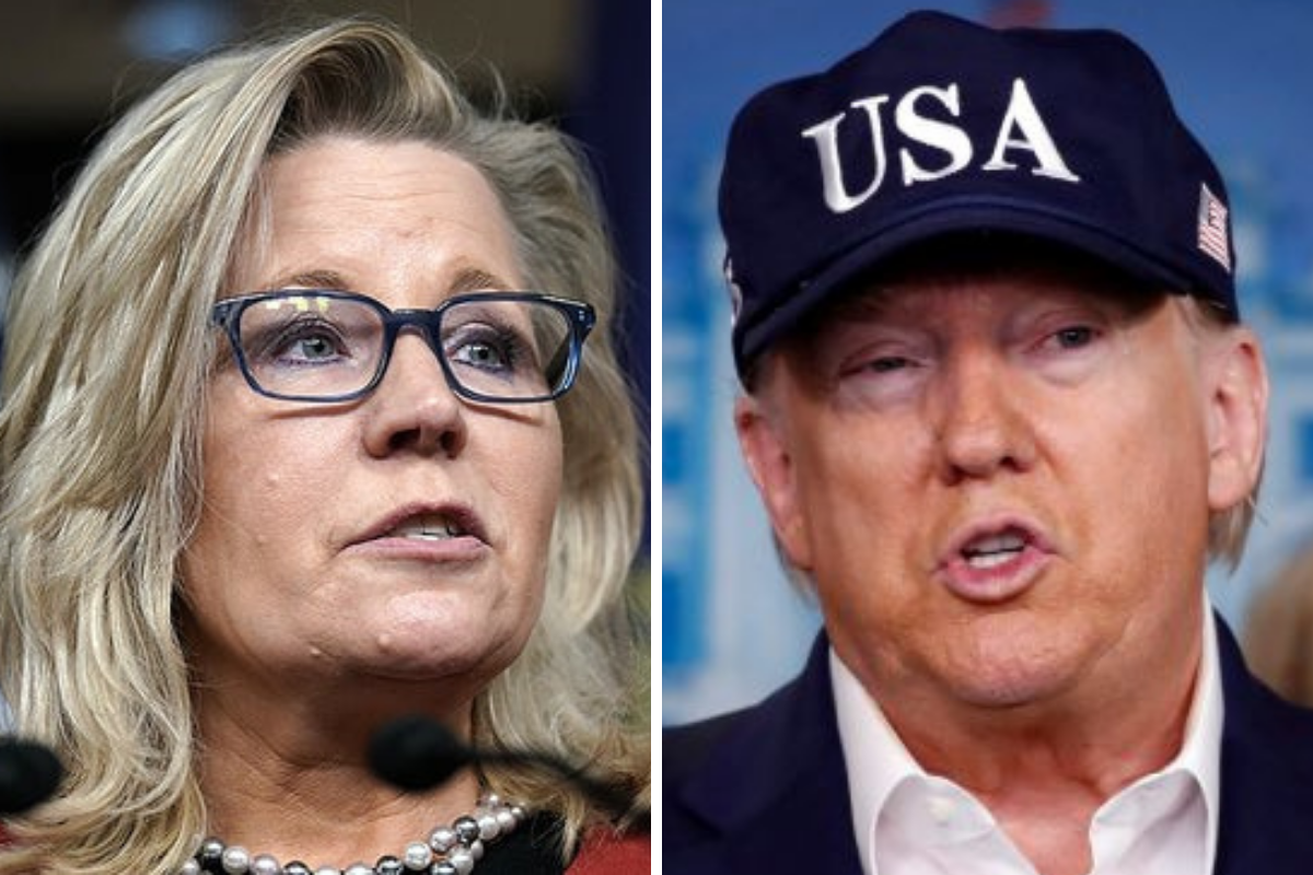 President Trump and Rep Liz Cheney Trade Jabs