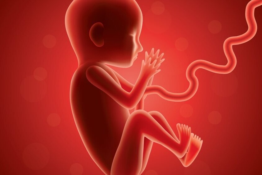 REPORT: University of Pittsburgh Conducted Federal Funded Research on Aborted Fetus Tissue