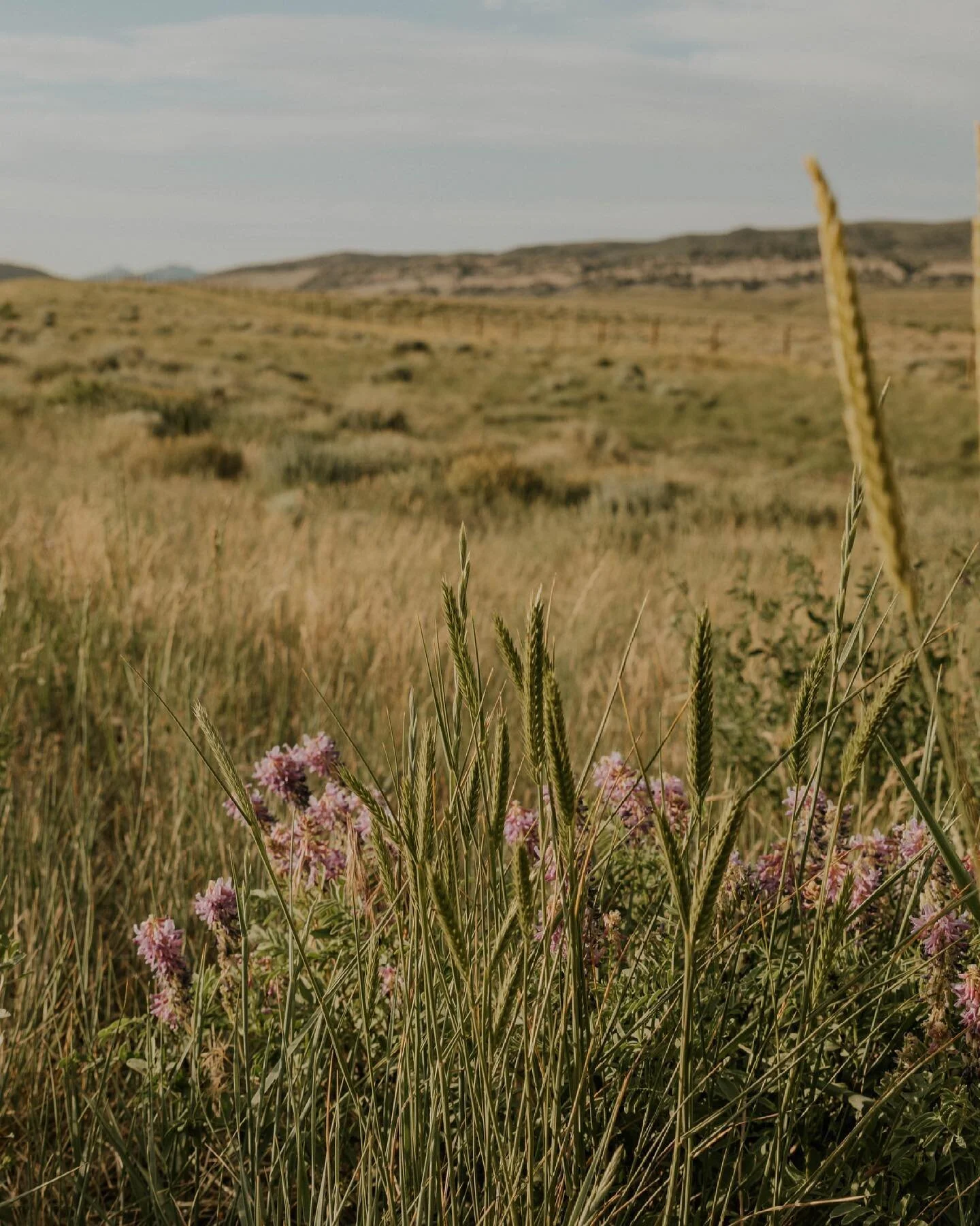 Somewhere in Wyoming💭