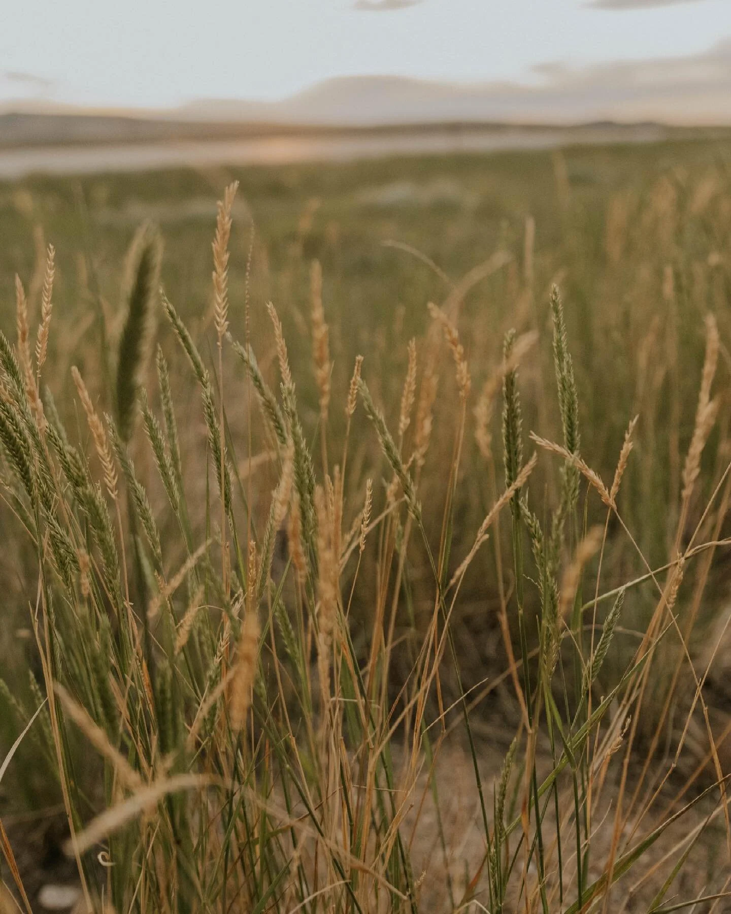 So much goodness out here🤩