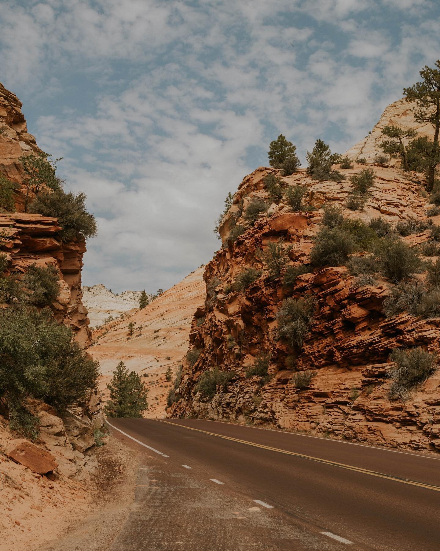 Zion is simply massive lol

#zion #zionnationalpark #nationalparks #usa #nationalparksusa #usaroadtrip #crosscountryroadtrip