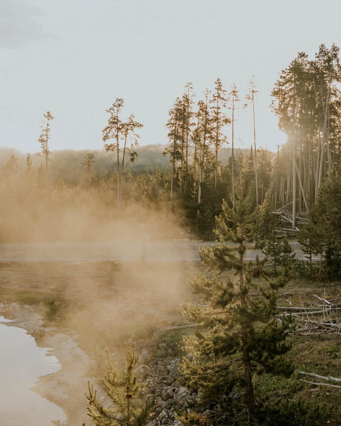 Morning light in Yellowstone✨

#yellowstone #yellowstonenationalpark #nationalparks #nationalparksystem #usanationalparks #explorenationalparks #usaroadtrip #crosscountryroadtrip