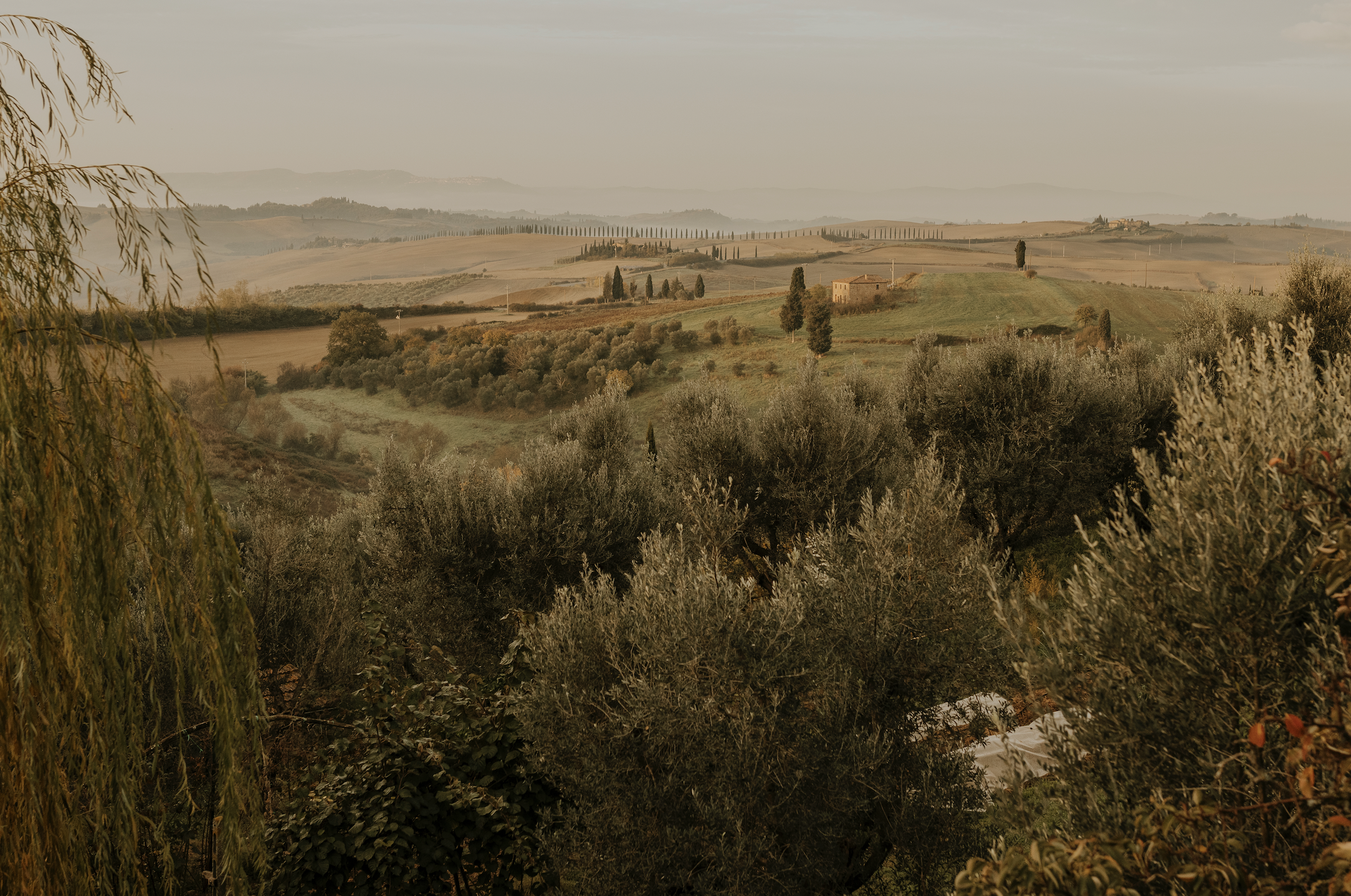 Screenshot 2026-01-02 at 1.29.58 PM.png