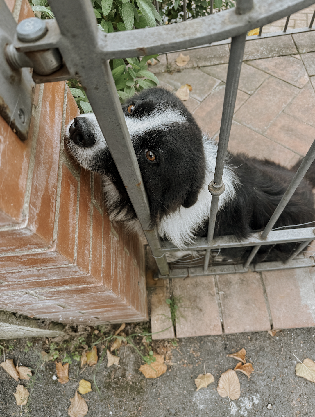 Screenshot 2026-01-02 at 7.54.08 PM.png