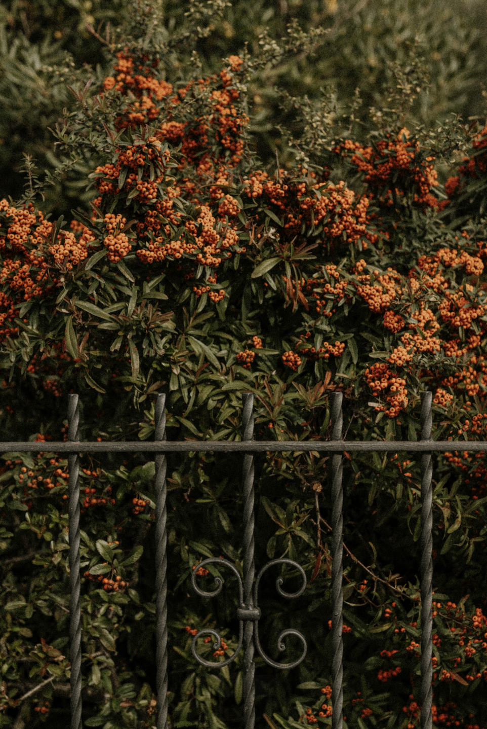 Screenshot 2026-01-02 at 7.52.13 PM.png