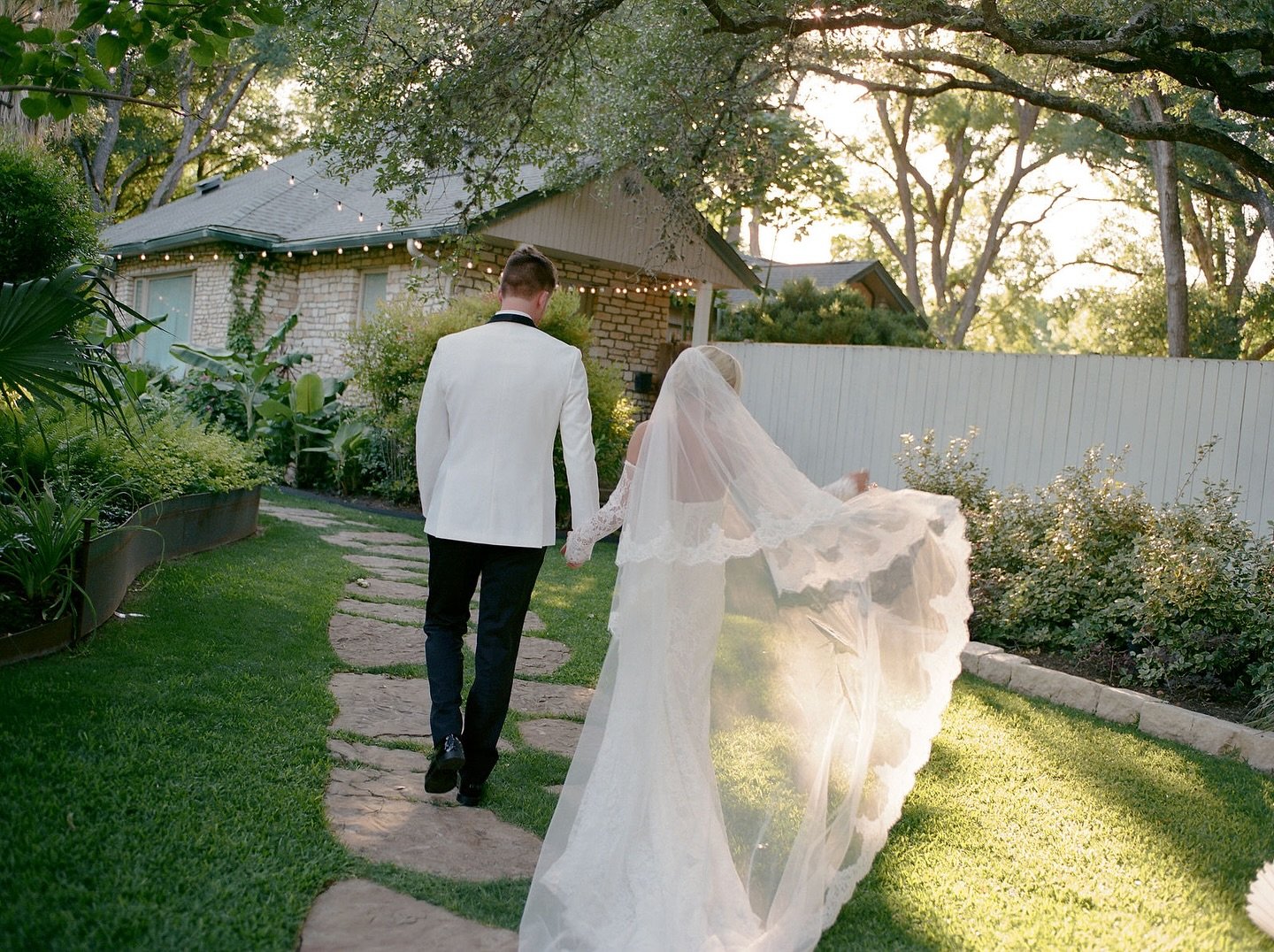 Strolls through @hummingbirdhouseaustin when the light hits just right. 🕊️