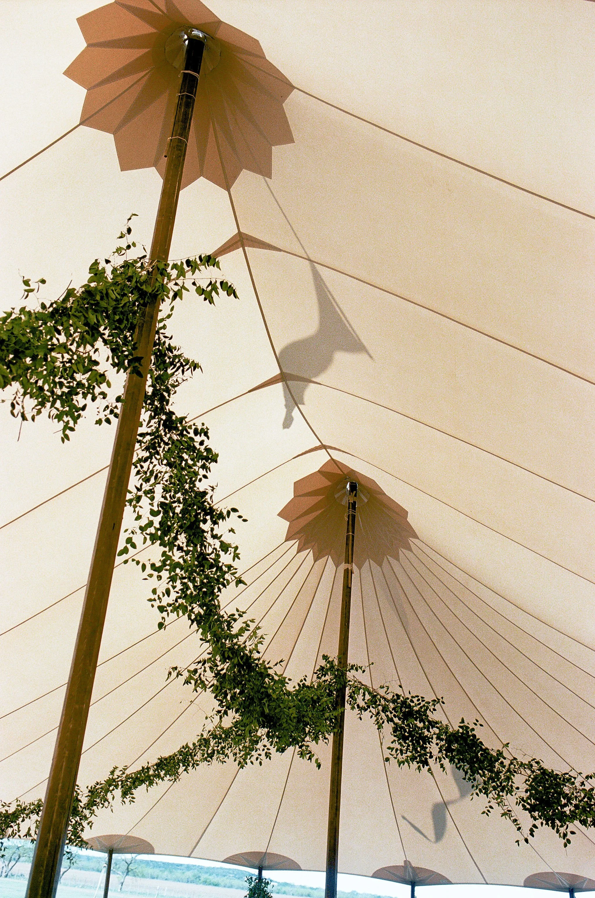 Sallie_Jonathan_Wedding_Film_Scans_2023-84.jpg