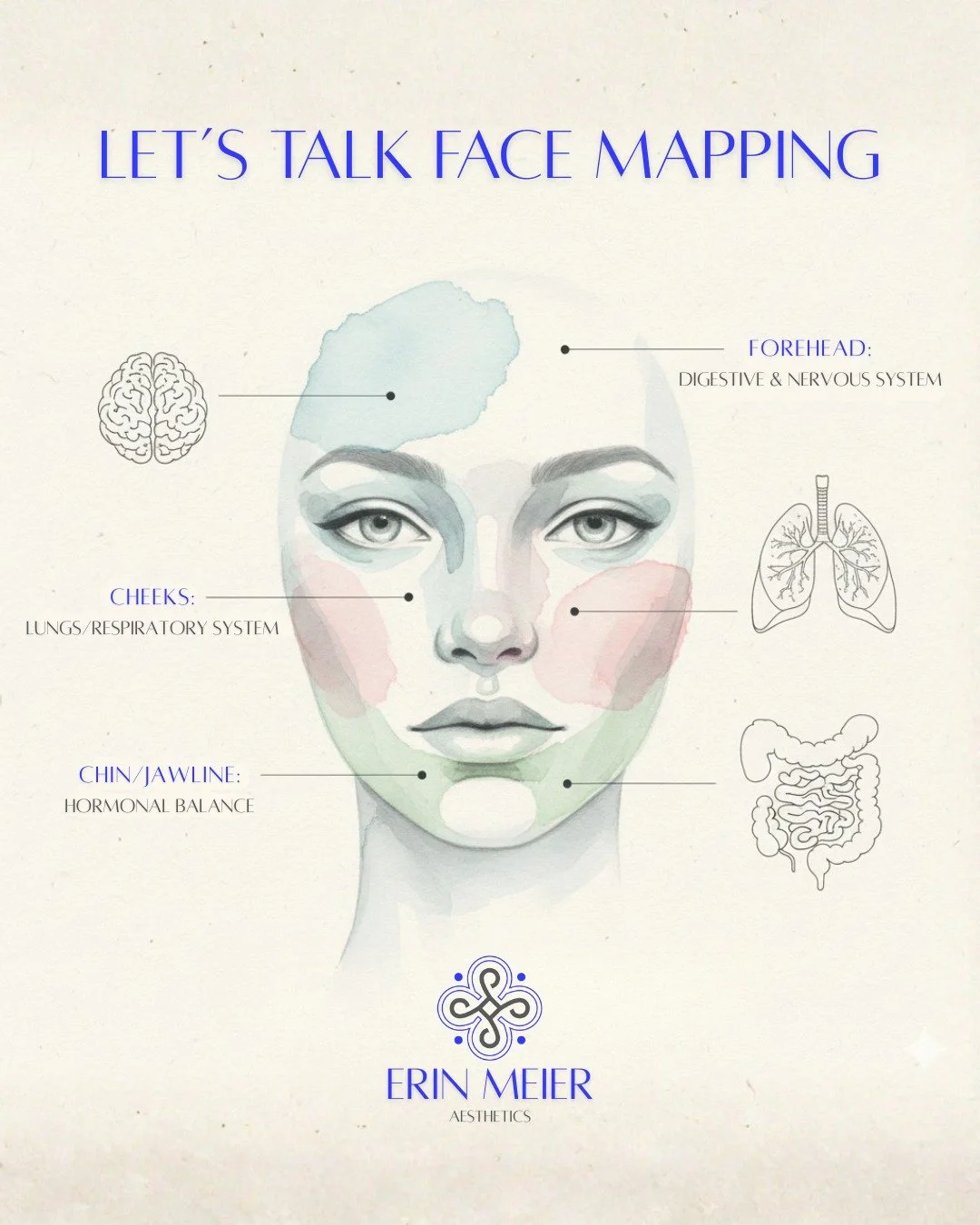 🧐 Let&rsquo;s talk Face Mapping! 🧐

If you follow me, you know I&rsquo;m a HUGE believer in the power of face mapping! It&rsquo;s not just a beautiful graphic; it&rsquo;s a powerful tool that helps me understand what&rsquo;s truly going on beneath 