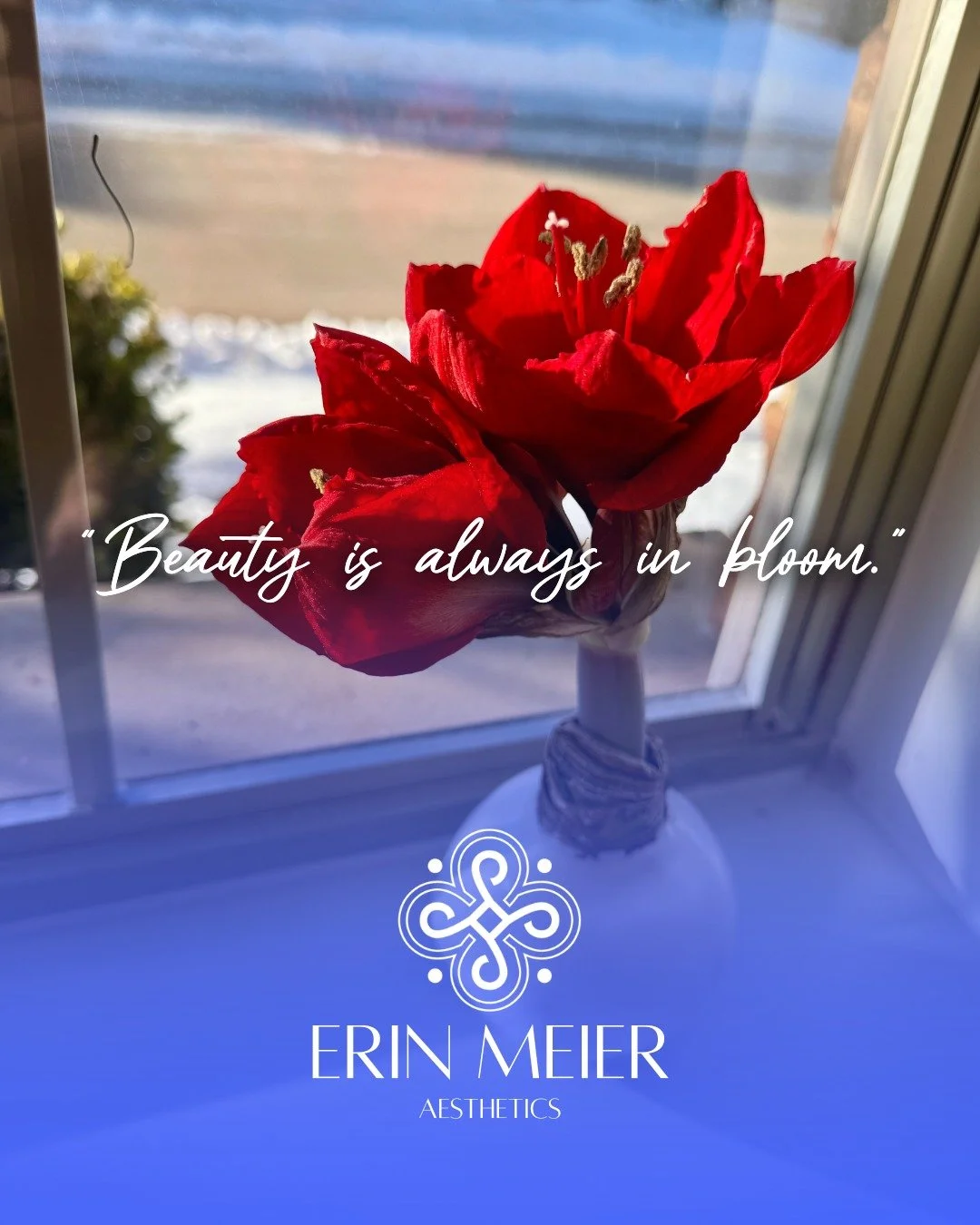 A morning reminder from the amaryllis in my office.🌸

Winter isn't just a season of cold; it&rsquo;s the perfect season for renewal, deep hydration, and preparing your skin for the year ahead.

Take a note from nature: you don&rsquo;t have to wait f