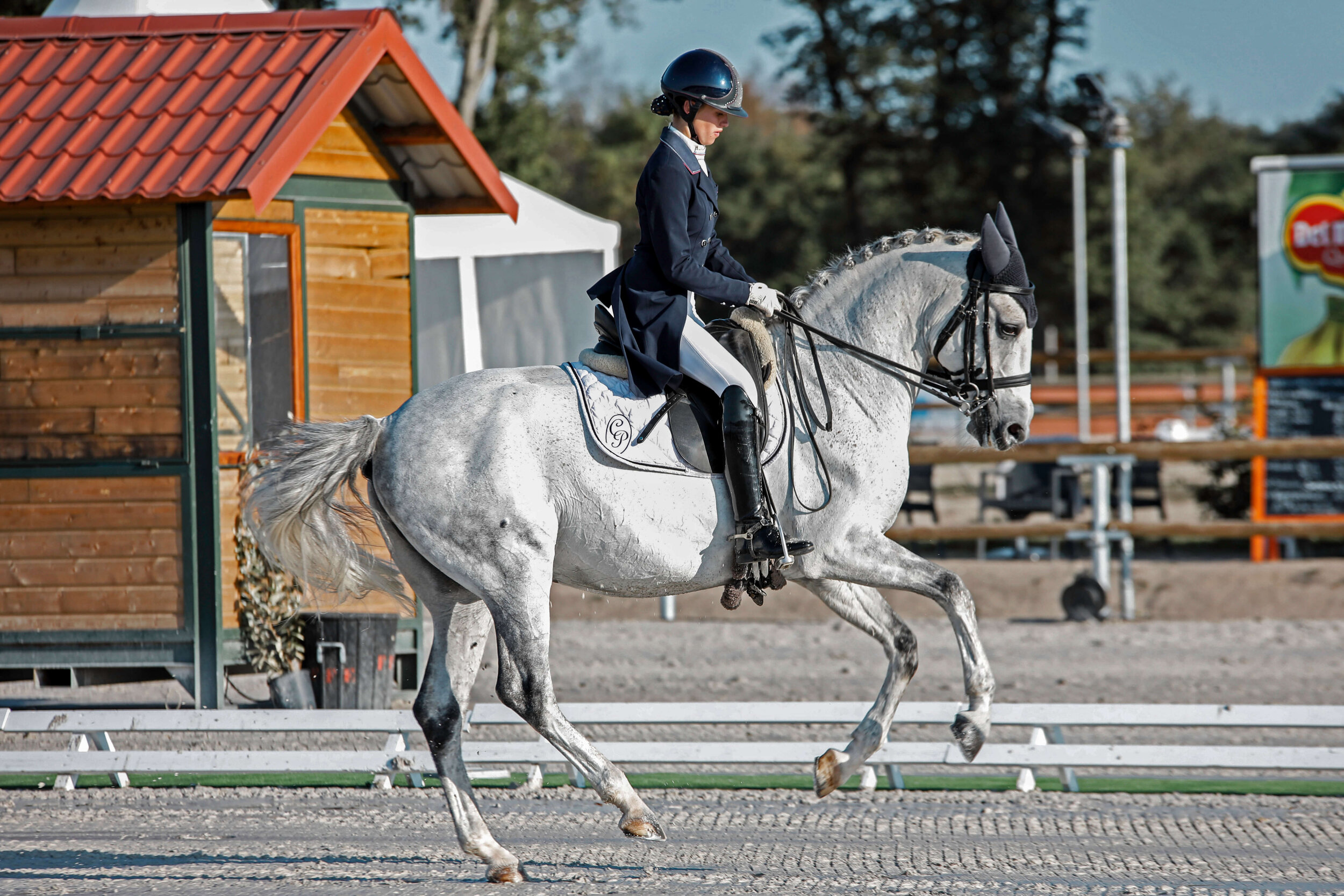 horse 7 (1).jpg