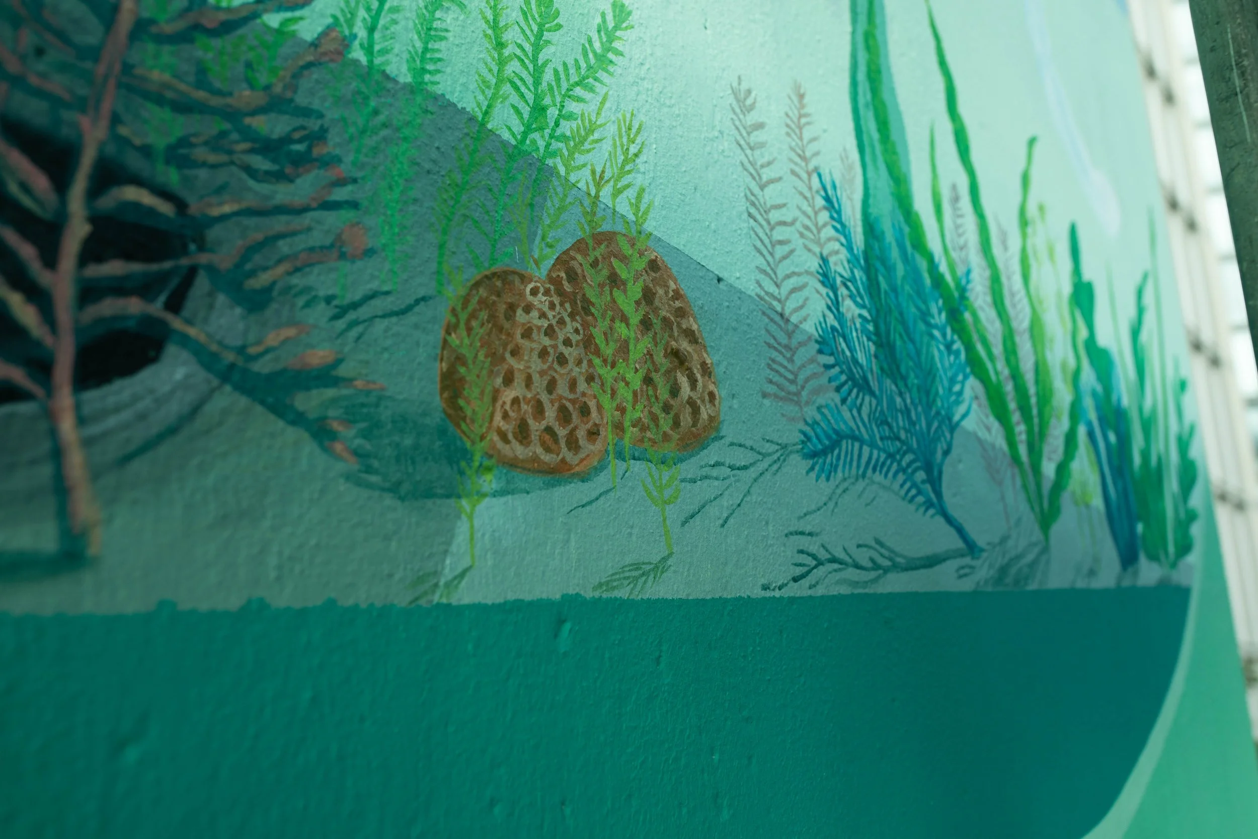 vivaqua-68.jpg