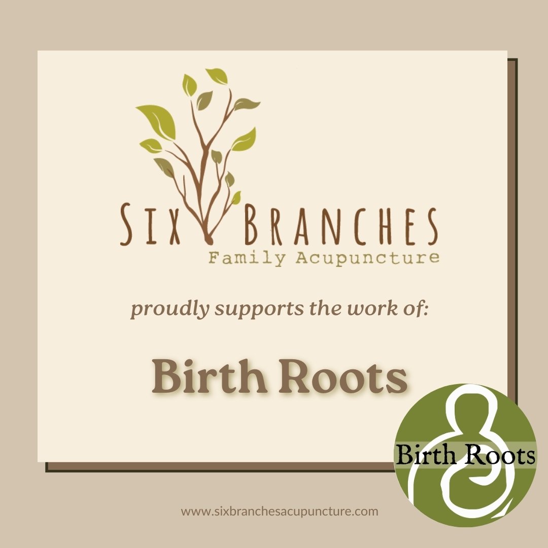 We are longtime supporters of Birth Roots and are happy to have them as our May Nonprofit of the Month again this year!

Birth Roots is a non-profit providing community based education and support focused on pregnancy through the early years of paren